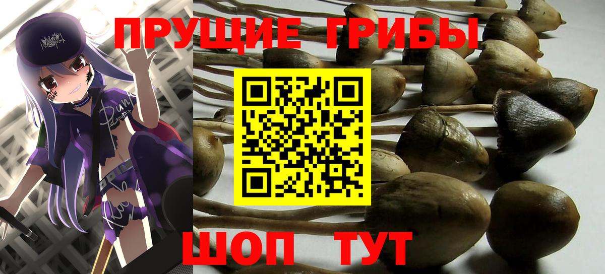 Псилоцибиновые грибы прущие грибы Чусовой